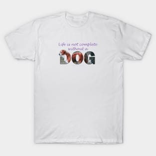Life is not complete without a dog - collie oil painting word art T-Shirt